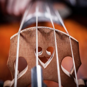ACM Presents: Cello Resonance
